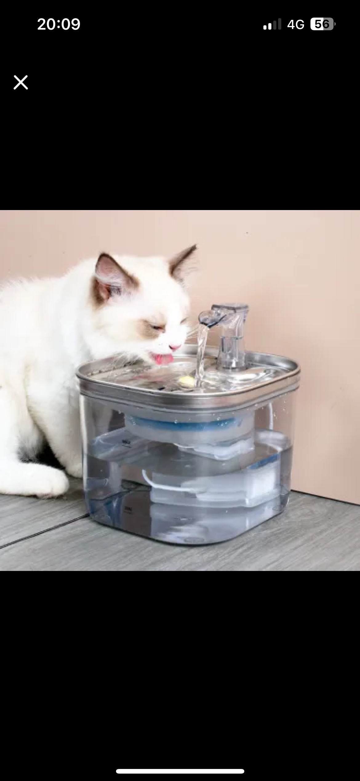 Fountain (Sold Out)